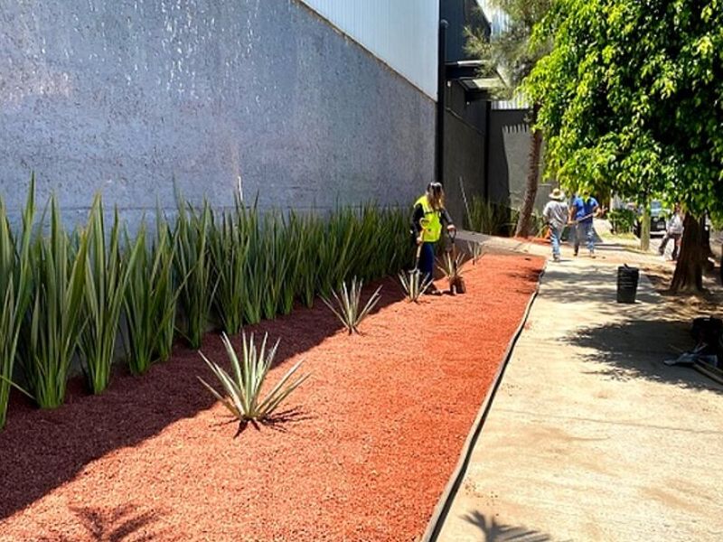 Diseño Jardines Zapopan