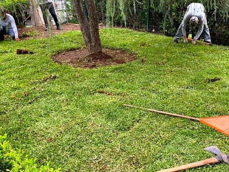 Mantenimiento Áreas Verdes Zapopan