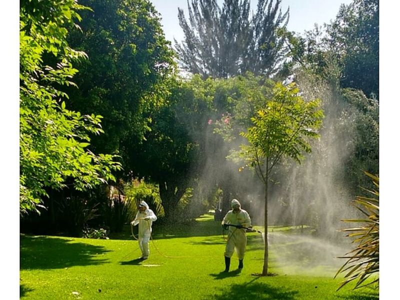 Fumigación Jardines Zapopan