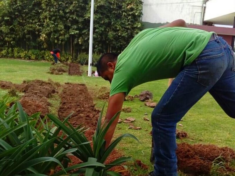 Diseño Jardines Zapopan