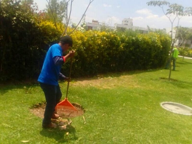 Mantenimiento Áreas Verdes Zapopan