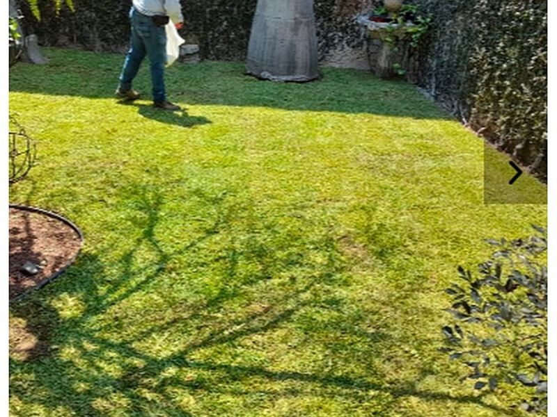 Mantenimiento Áreas Verdes Aguascalientes