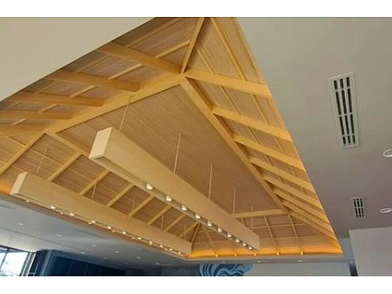  Plafón para cafetería México