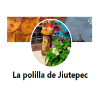 La polilla de Jiutepec