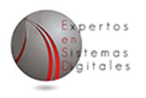 Expertos en Sistemas Digitales