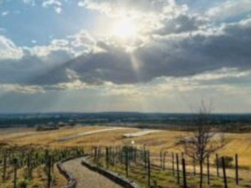 Terreno venta Fresnos Irapuato