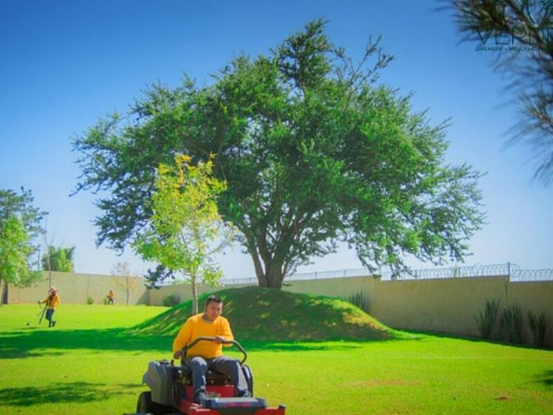 Mantenimiento Áreas Verdes Zapopan