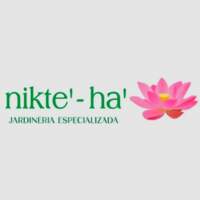 NIKTE-HA