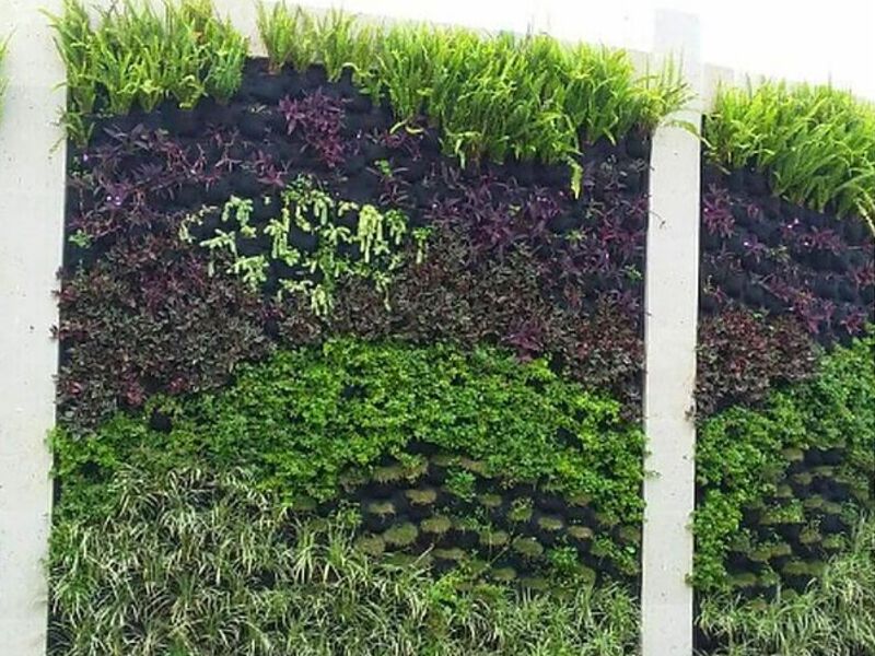 Jardines Verticales Monterrey