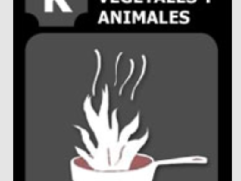 Extintores Microblaze “Clase K” méxico 