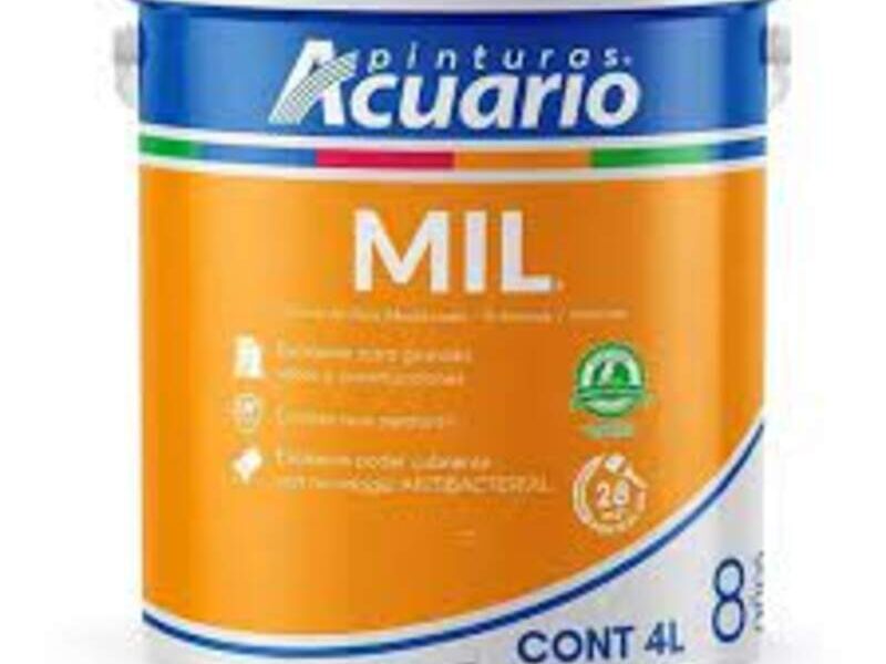 Pintura Mil Potosí 