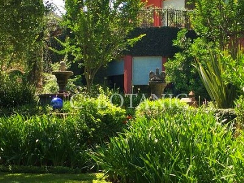 Diseño Jardines Nuevo León