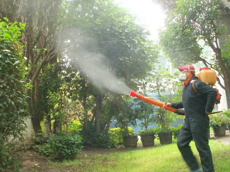 Fumigación Jardines Nuevo León