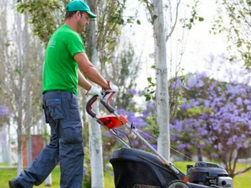 Mantenimiento Áreas Verdes Puebla