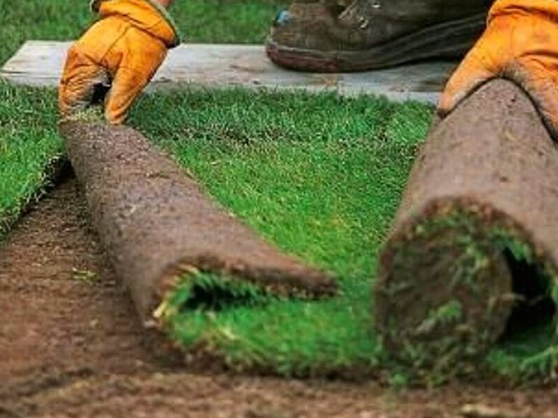 Instalación Pasto Rollo Naucalpan
