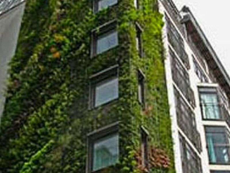 Jardines Verticales Zapopan