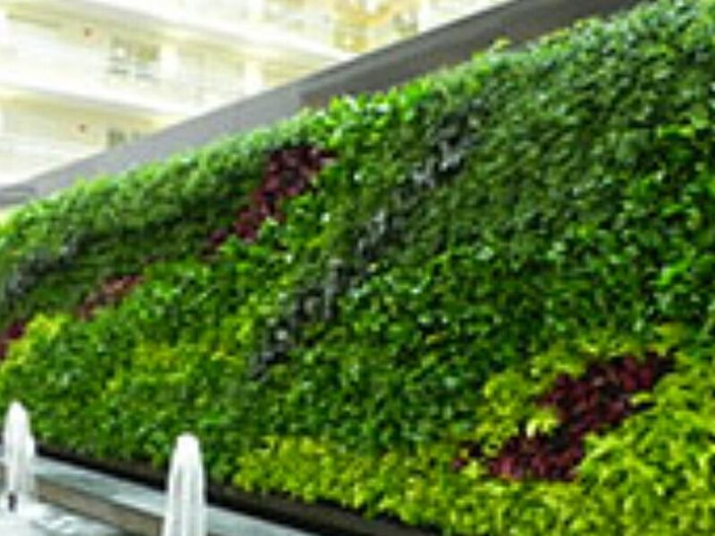 Jardines Verticales Naucalpan