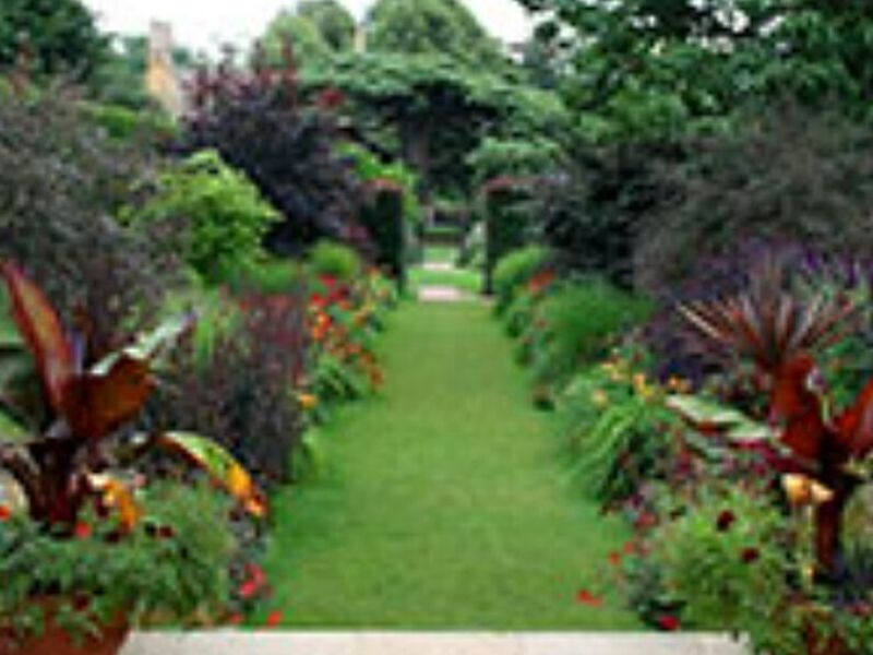 Diseño Jardines Orizaba