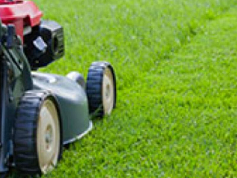 Mantenimiento Áreas Verdes Naucalpan