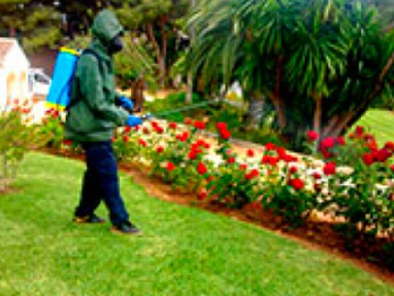 Fumigación Jardines Naucalpan