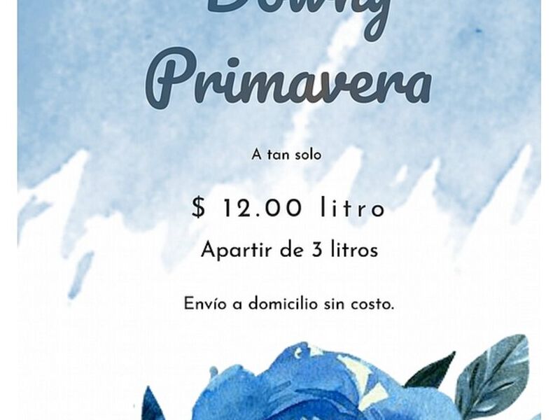 Downy Primavera Veracruz