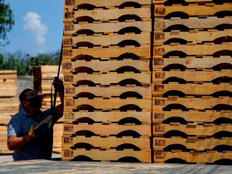 Pallets Madera México