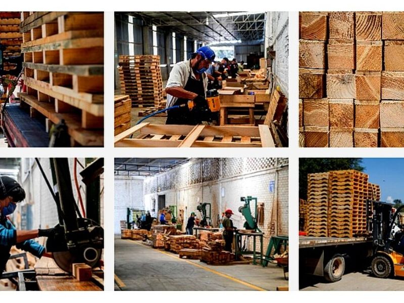 Pallets Industriales San Luis Potosí 