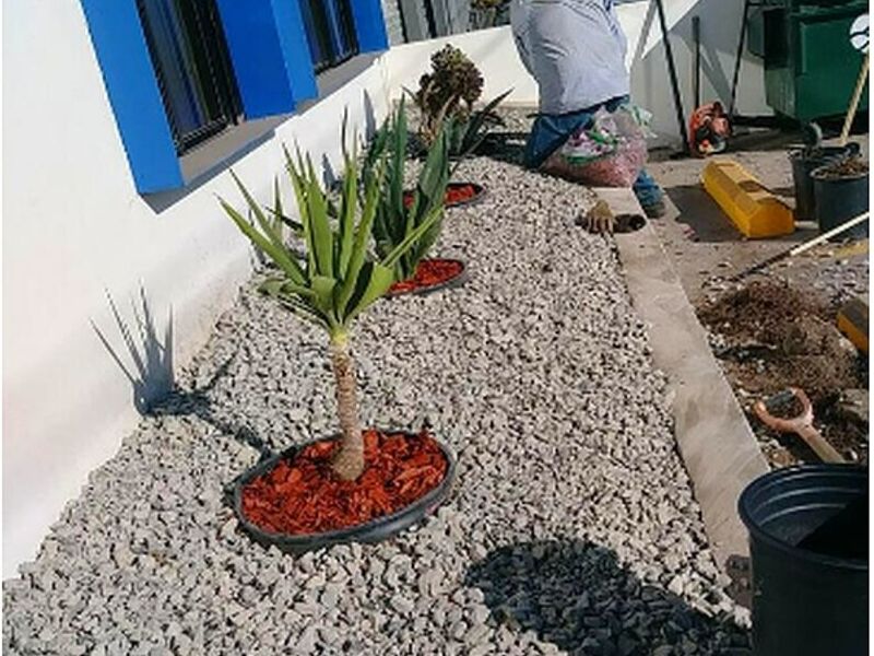 Diseño Jardines Cuernavaca
