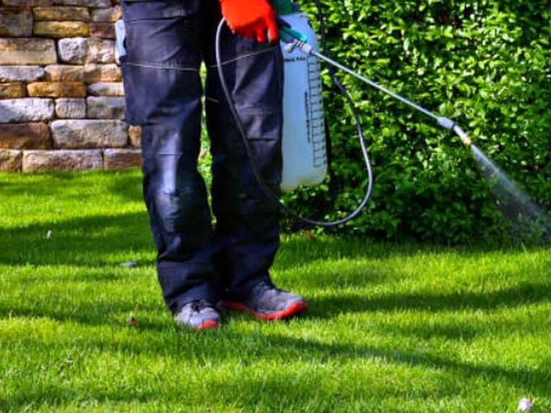 Fumigación Jardines Tijuana