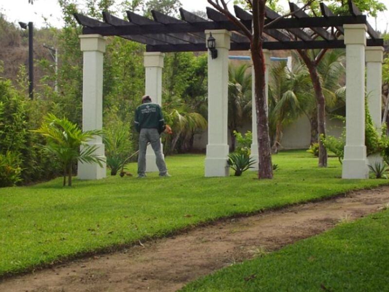 Mantenimiento Áreas Verdes Veracruz