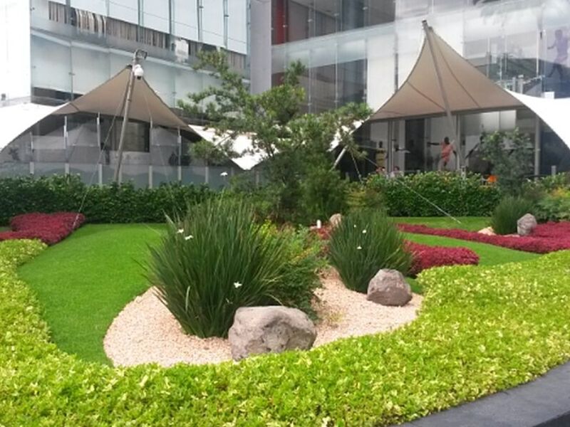 Diseño Paisajismo Morelia
