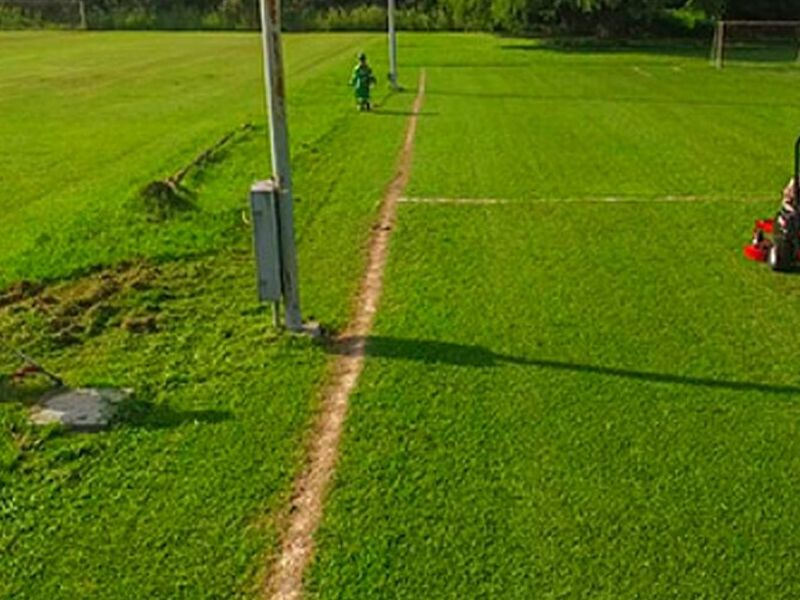 Mantenimiento Áreas Verdes Morelia