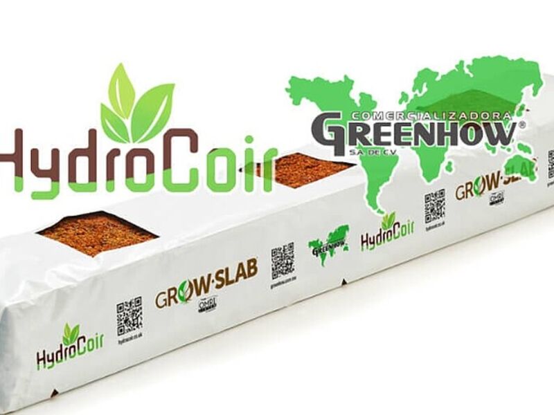Grow Slab México