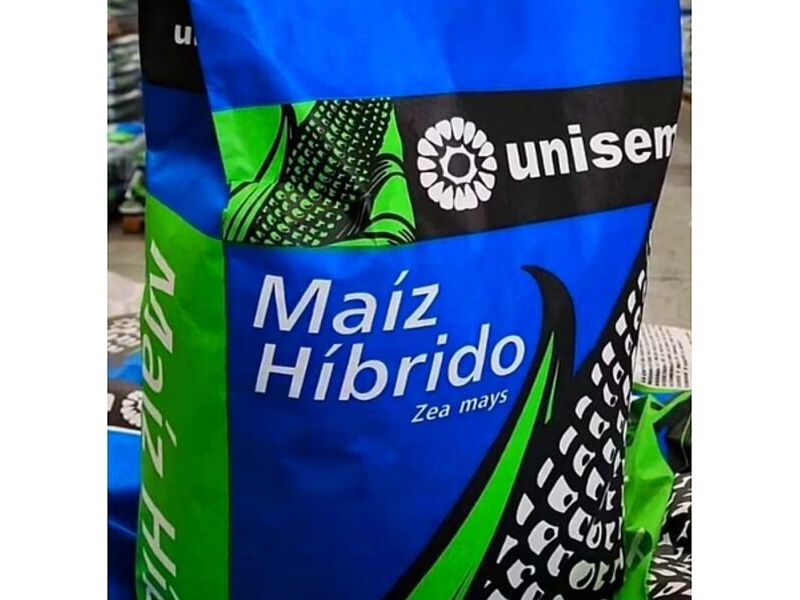 Maíz Hibrido México
