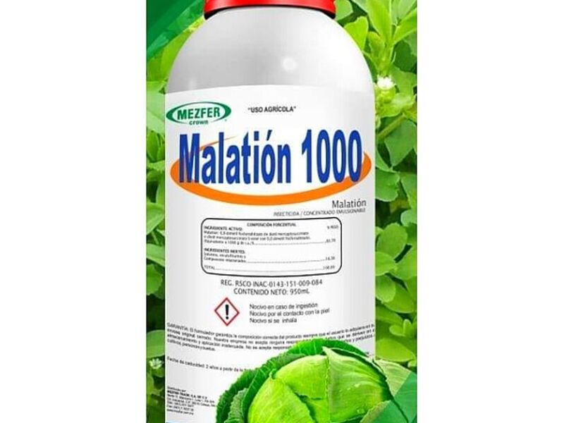 Insecticida México