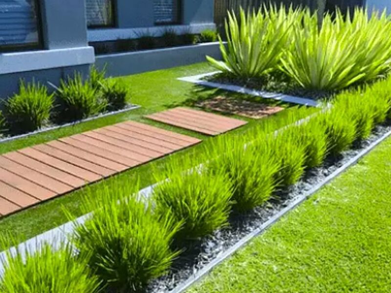 Diseño jardines Nuevo Leon 