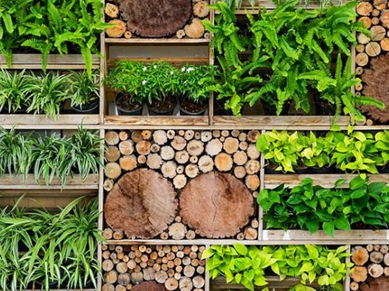 Jardines verticales Nuevo Leon 