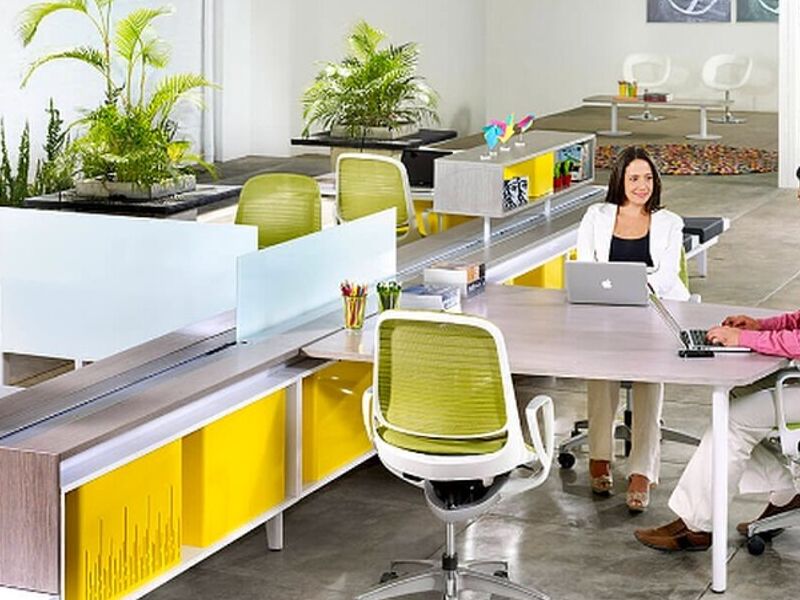 Ambientación instituciones Nuevo Leon 