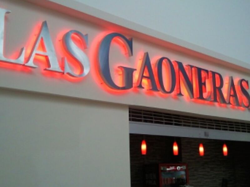 LOGOTIPO GAONERAS ACERO LEDS MÉXICO 