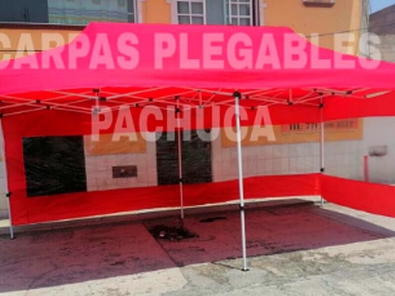 CARPA 3X6