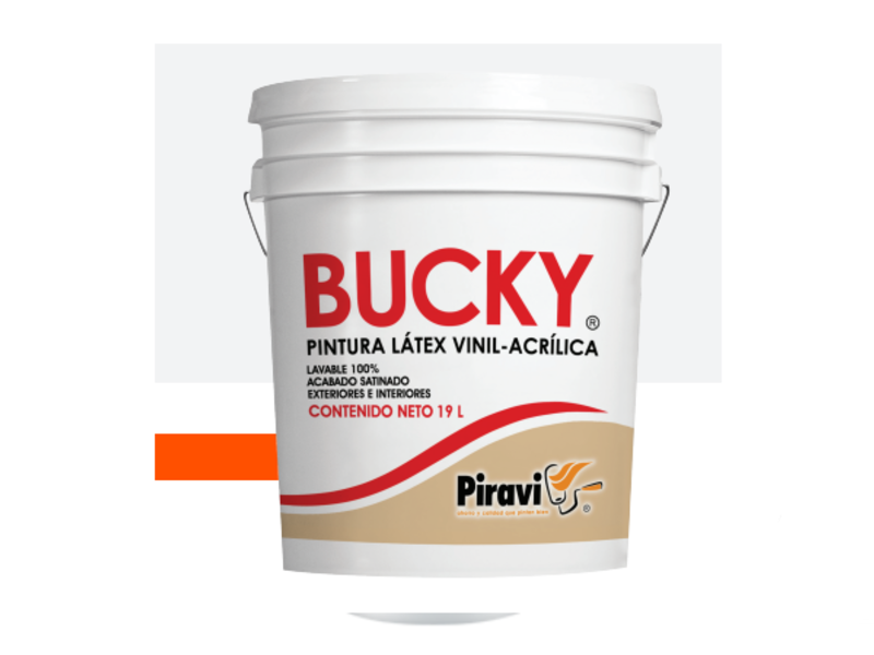 PINTURA BUCKY GUADALAJARA