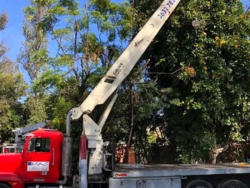 Gruas Sonora