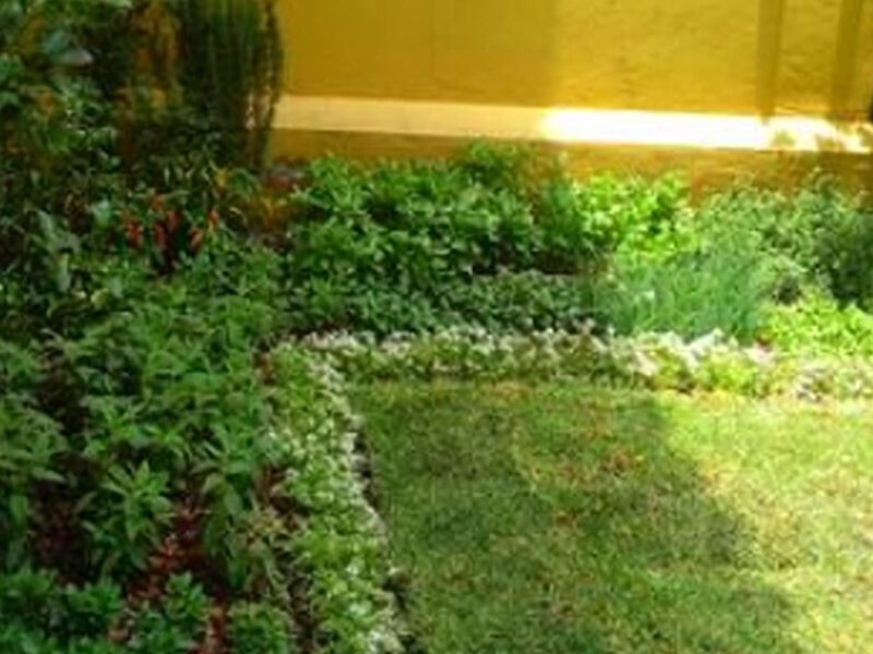 Diseño Jardines México 