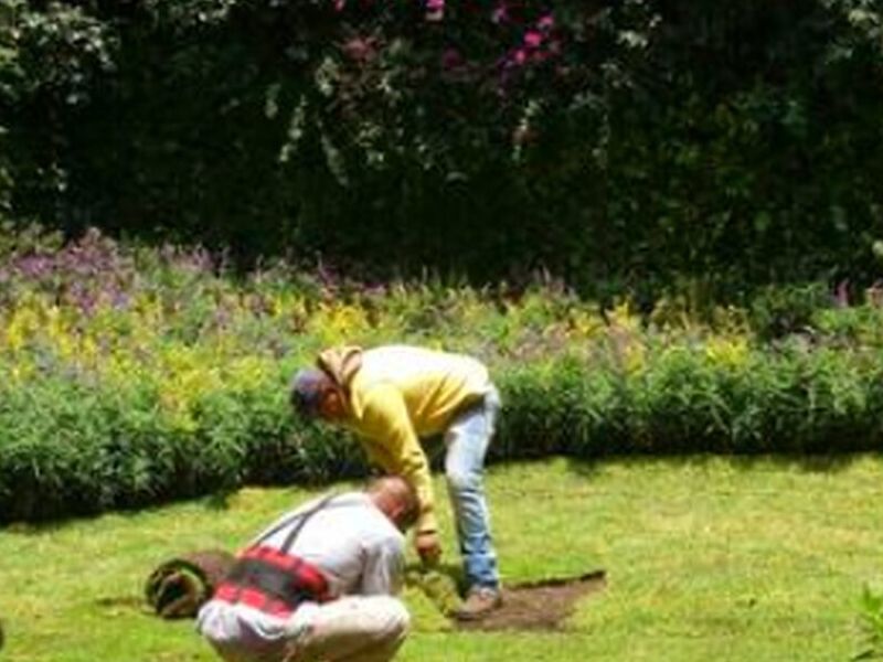 Diseño Jardines Mérida