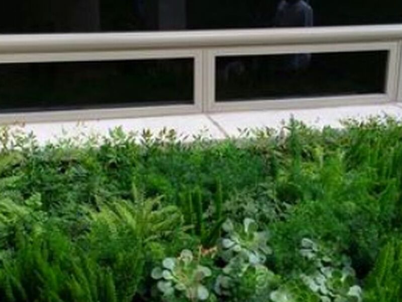 Diseño Jardines Monterrey 