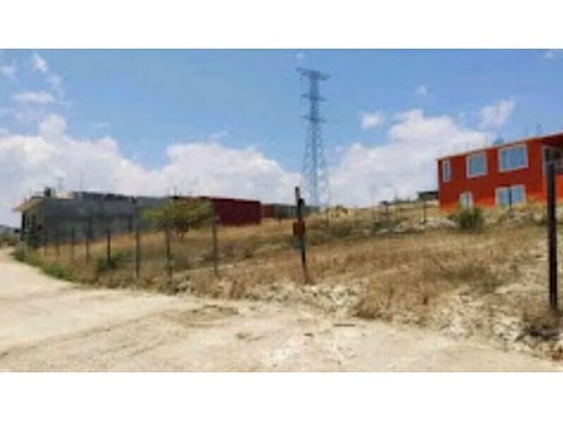 Dos LOTE MINAS México 