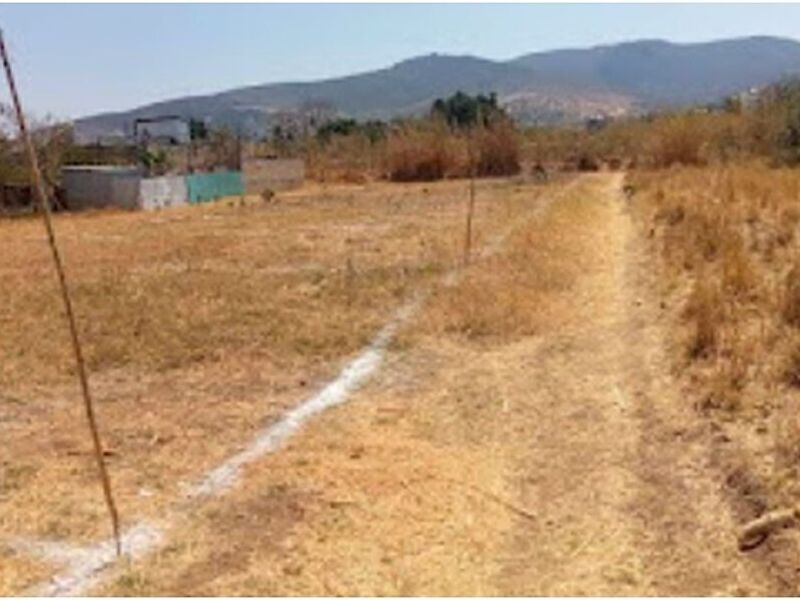 LOTE QUINTA SECCION México