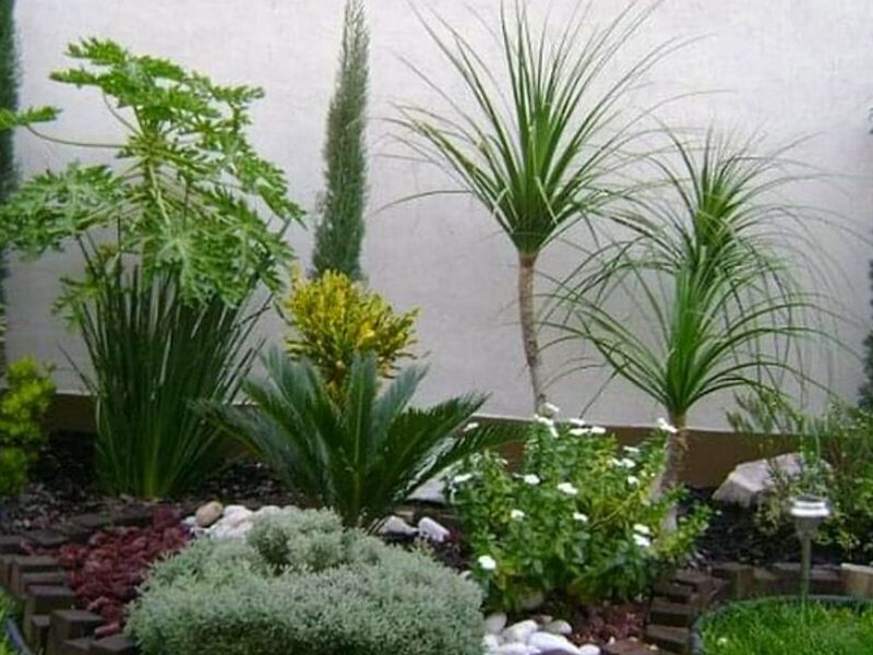 Diseño Jardines Veracruz