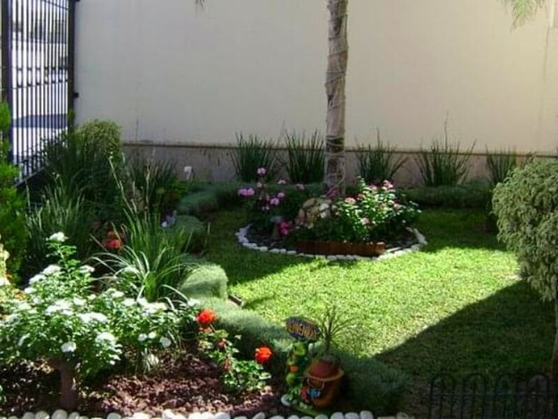 Mantenimiento Áreas Verdes Torreón