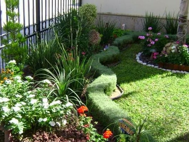 Mantenimiento Áreas Verdes Veracruz